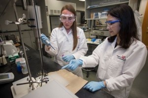 Courtney Collins and Dr. Park discuss optimal techniques for particle synthesis