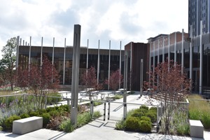 MarketPointe@Siddall plaza