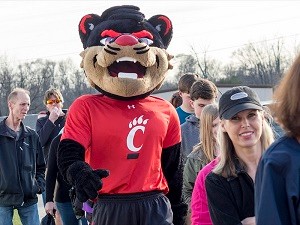 UC Bearcat