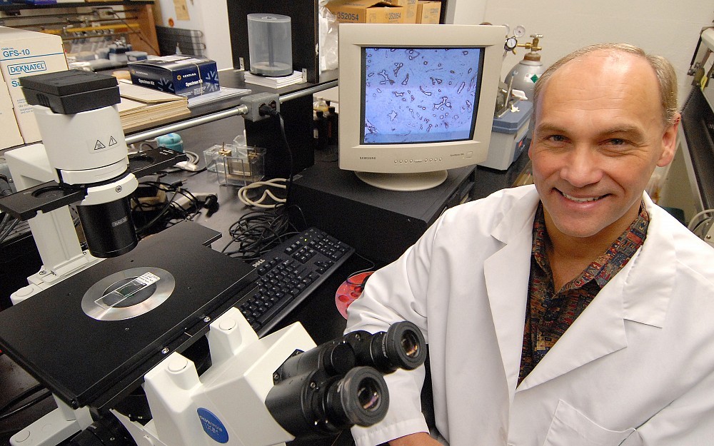 Georg Weber, MD, PhD, focuses his research on cancer metastasis (growth). 