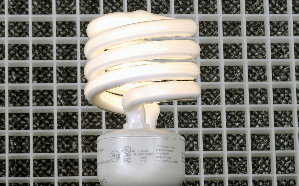 Energy Star-approved compact fluorescent light bulbs use up to 75 percent less energy than traditional incandescent light bulbs and last up to 10 times longer. 