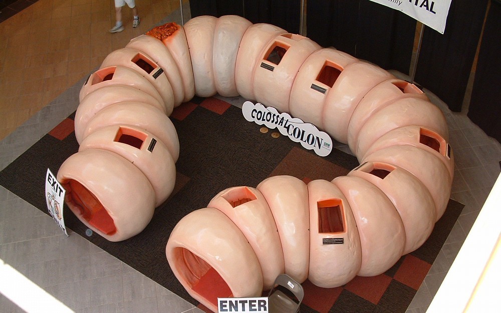 The Colossal Colon, pictured here at an event in Chesapeake, Va., is a
40-foot replica of the human colon.