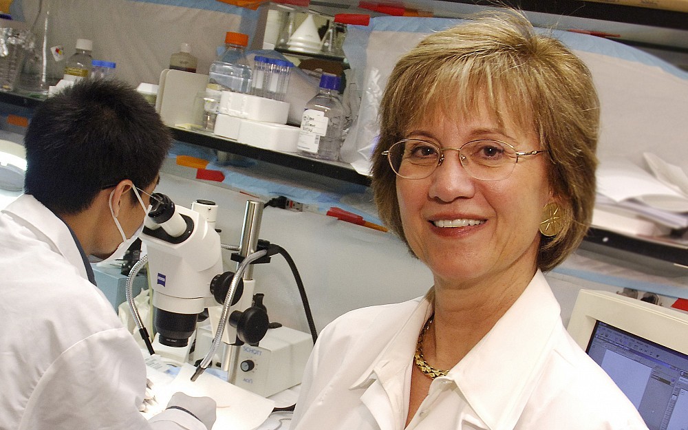 Director of cardiovascular biology and professor in UCÂ s department of pharmacology and cell biophysics