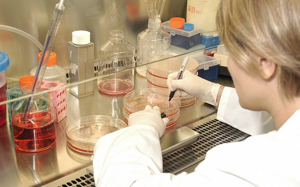 UCÂ s Center for Clinical and Translational Science and Training (CCTST) is a major research resource at the UC Academic Health Center.