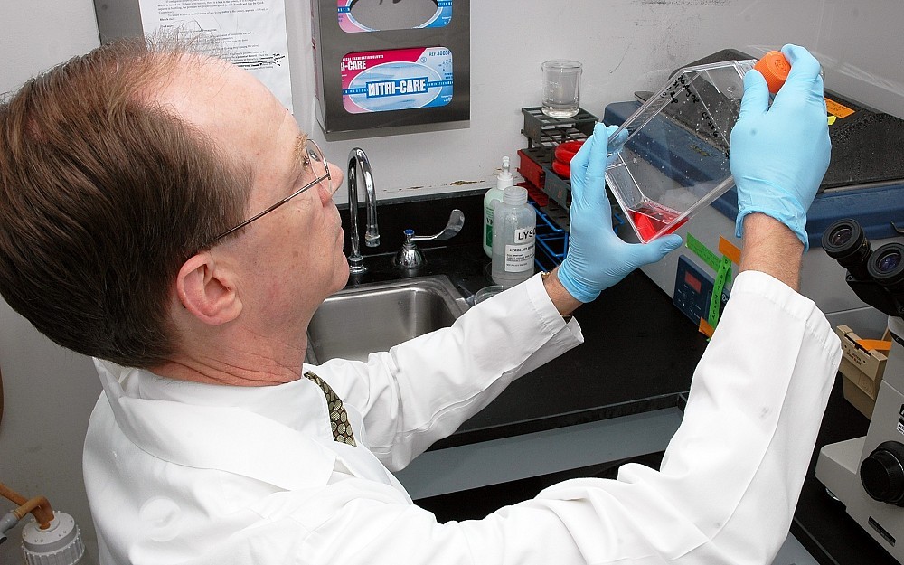 Steven Boyce, PhD, examines skin cells to be used indeveloping engineered skin grafts. 