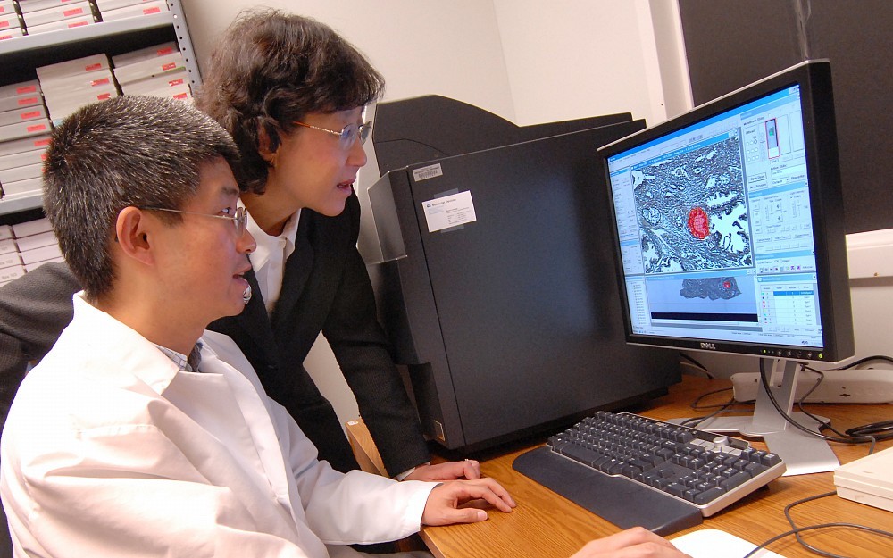 Environmental health researchers Xiang Zhang, PhD, and Shuk-Mei Ho, PhD
