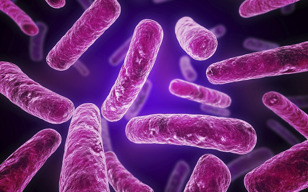 E.Coli is a foodborne disease. 