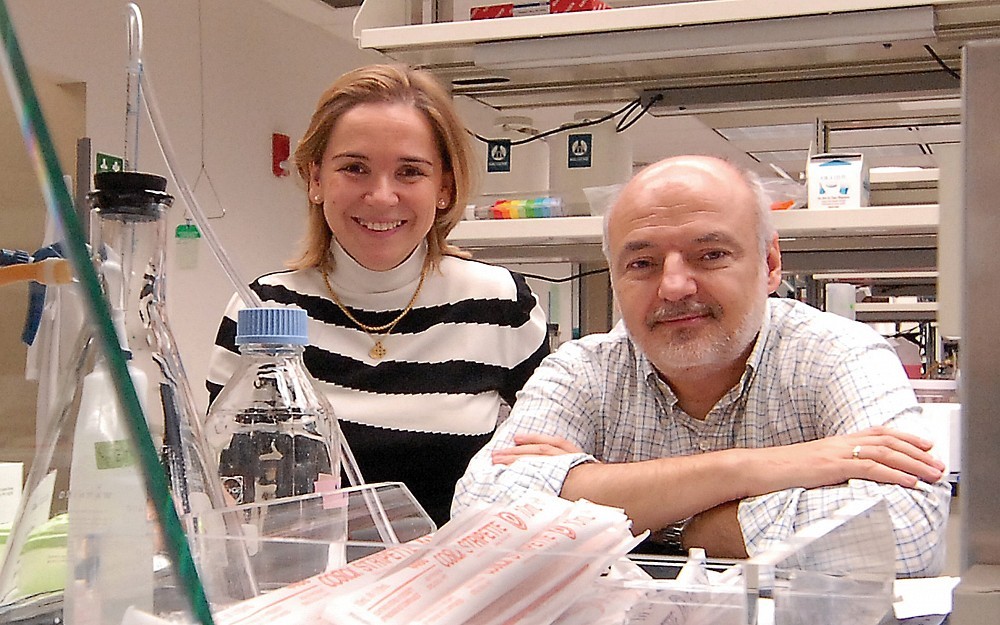 Maria Diaz-Meco, PhD, and Jorge Moscat, PhD, study cell signaling pathways related to prostate cancer. 