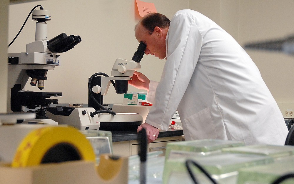 Randy Seeley, PhD, director of the Cincinnati Diabetes and Obesity Center.