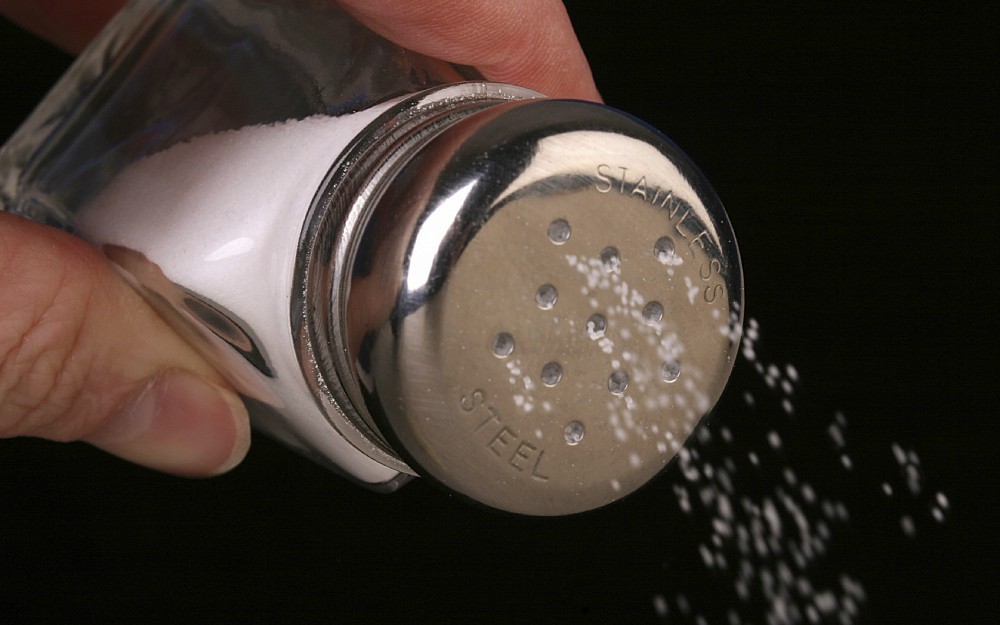 Salt Shaker