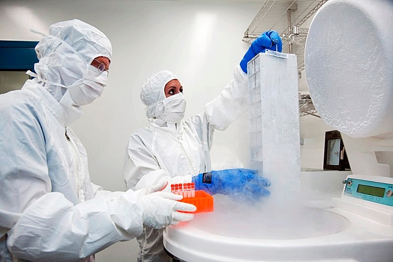 Han van der Loo, PhD, and Kathryn Mangopoulos, research assistant, work in the Vector Production Facility and Cell Manipulation Laboratory, part of the Translational Core Laboratory at Cincinnati Children's.