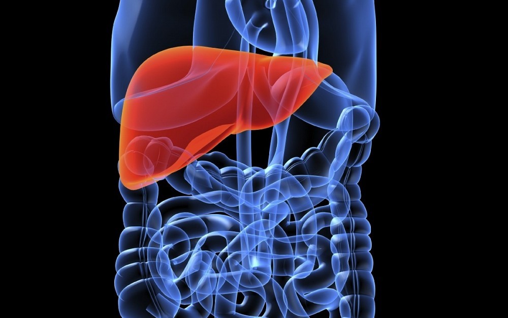 ELAD Trial on Liver Failure
