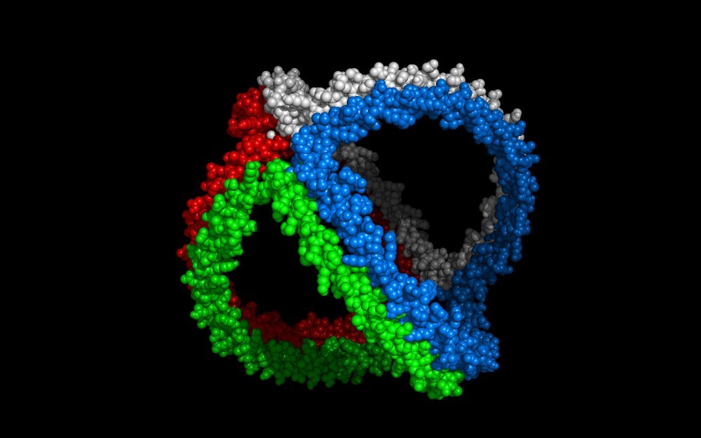 HDL cholesterol is made up of proteins that form a cage-like structure encapsulating its fatty cargo. 