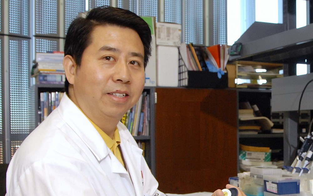 Hongshan Liu, MD, PhD, assistant professor of research in the department of ophthalmology