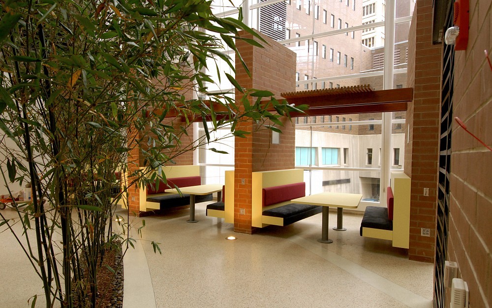 CARE/Crawley Atrium