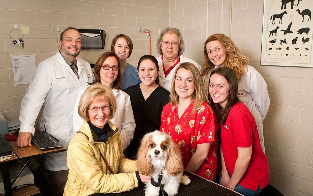 FETCH~LAB with Murphy, a young spaniel who had his hearing restored with a partnership between UC and OSU