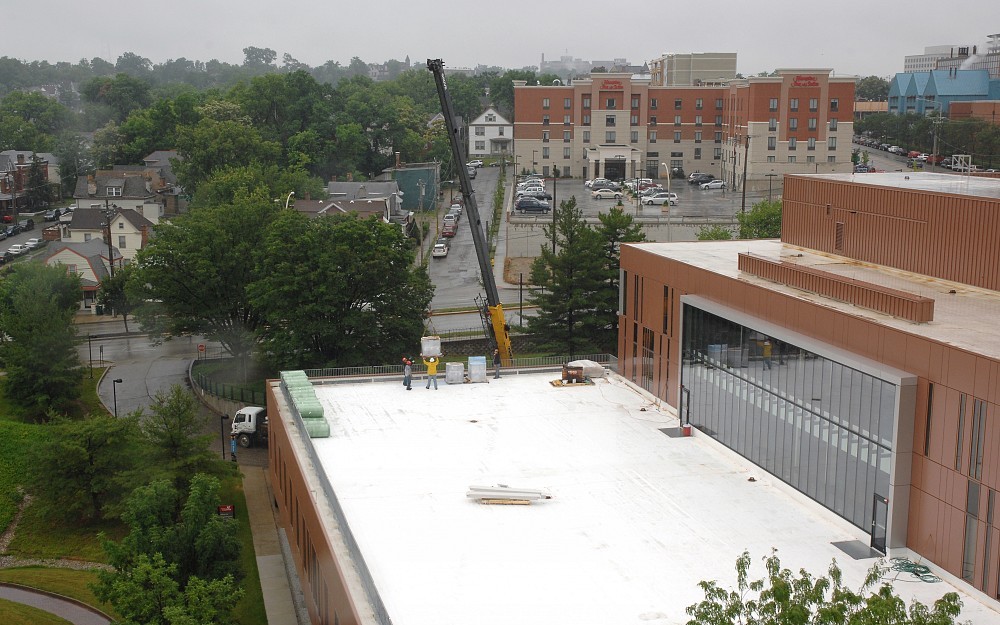 With the help of a crane, work got under way on the "green" roof at Procter Hall.
