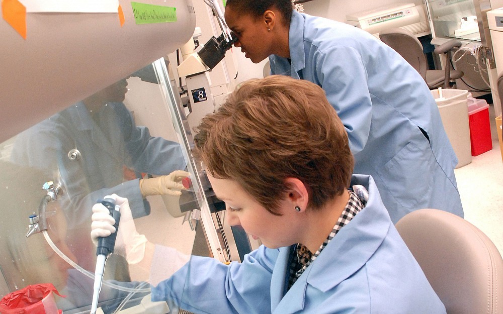 Researchers 