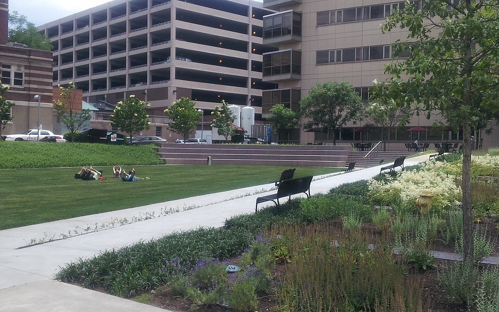 Levine Park has been restored again as a respite for students, faculty and staff.