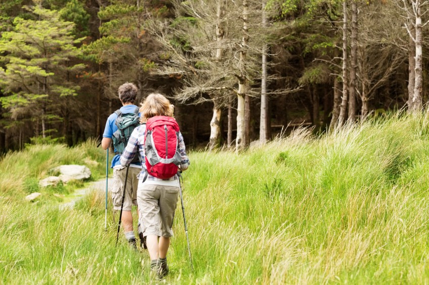 Summer Hiking