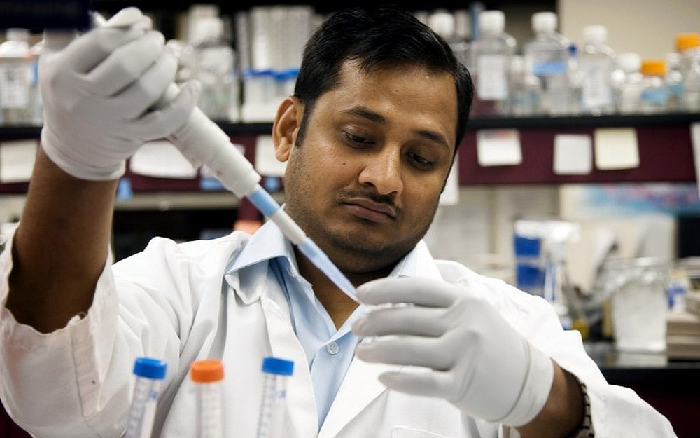 Rakesh Rathore, PhD
