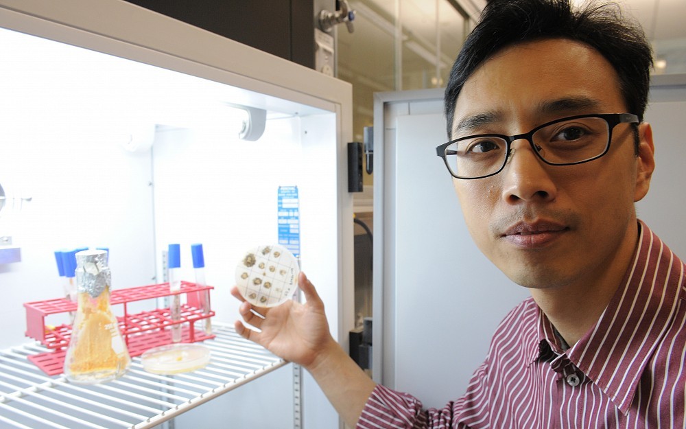 Christian Hong, PhD, is an assistant professor in the UC Department of Molecular and Cellular Physiology.