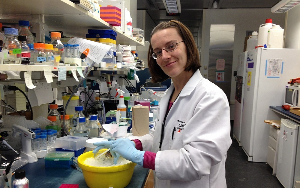 Nancy Benight, PhD