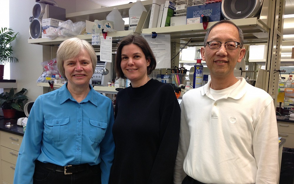 Carol Mercer, PhD, Anja Jaeschke, PhD, David Hui, PhD