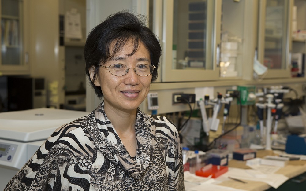 Tianying Wu, MD, PhD, is an assistant professor in the UC Department of Environmental Health.