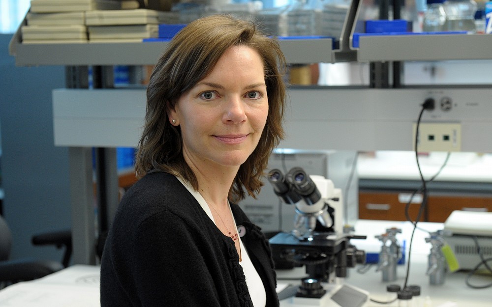 Sheila Fleming, PhD, studies Parkinsonism on behalf of the Gardner Center for Parkinson's Disease and Movement Disorders at the UC Neuroscience Institute.