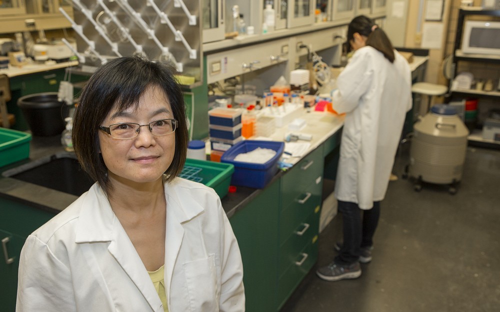 Ying Xia, PhD, is an associate professor in the UC Department of Environmental Health.