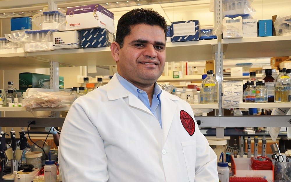 El Mustapha Bahassi, PhD