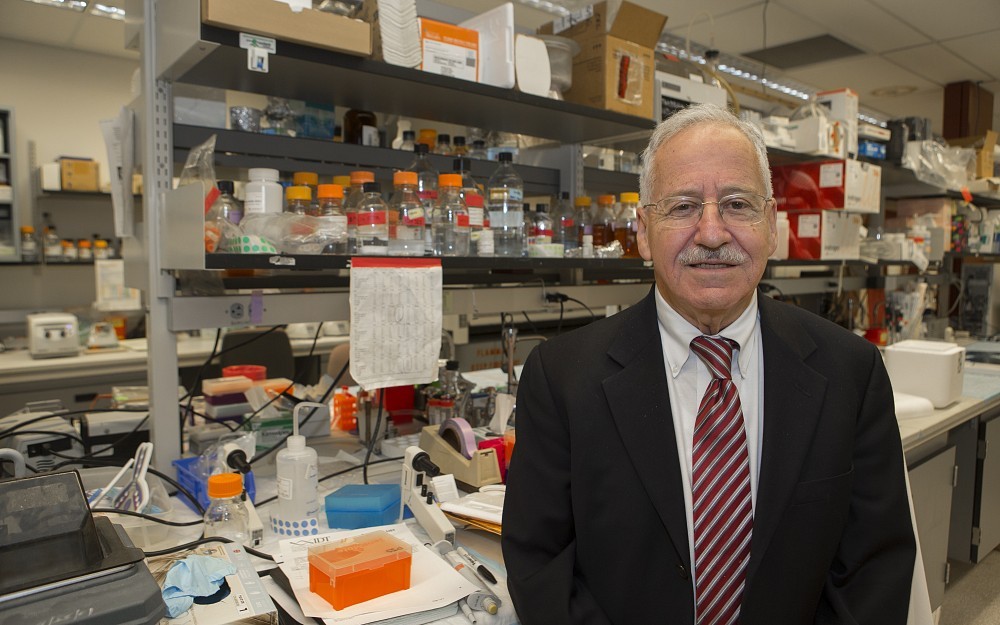 Peter Stambrook, PhD