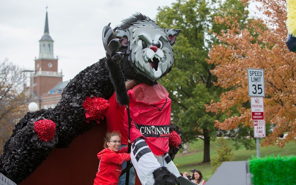 Kelsey Trusty, a student worker at the College of Nursing, helps prop up the BearcatÂ s head on the collegeÂ s Homecoming Parade float Oct. 24. The float took first prize.