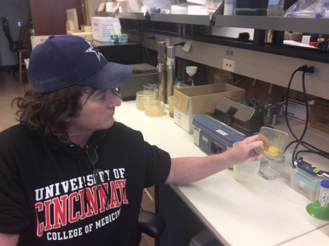 Daniel Hassett, PhD, is a professor in the UC Department of Molecular Genetics, Biochemistry and Microbiology.