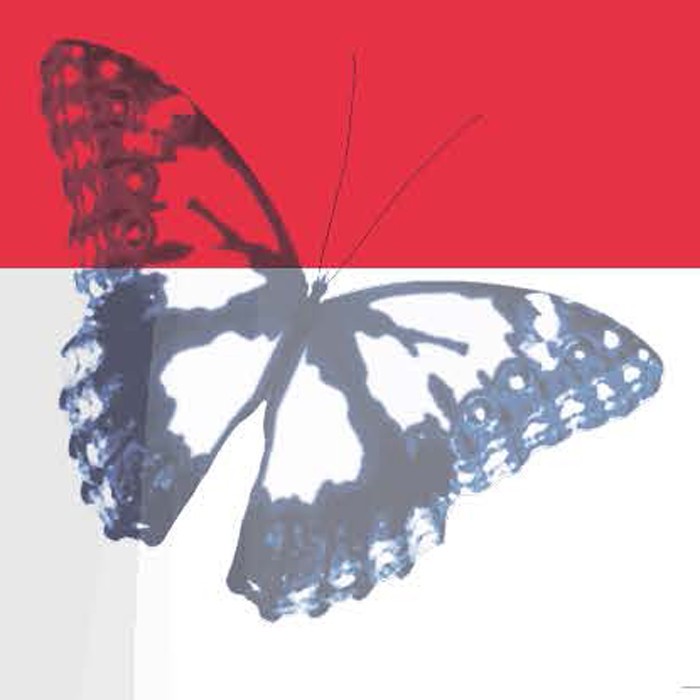 "Transitions in Cancer Survivorship Care