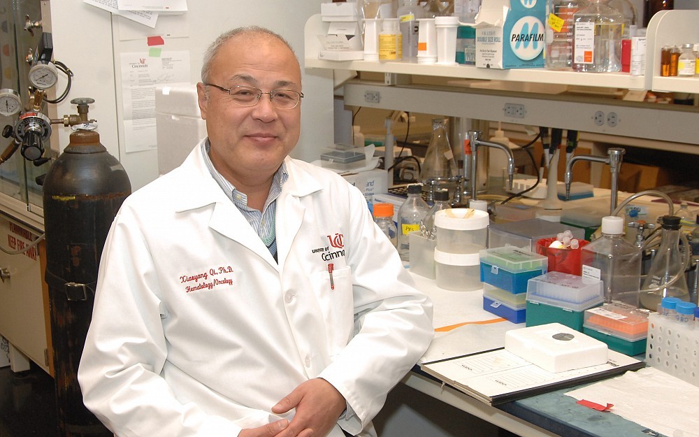 Xiaoyang Qi, PhD