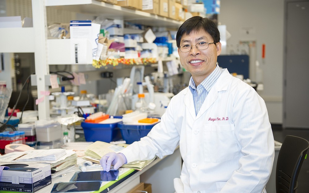 Jianjun Chen, PhD, associate professor in the Department of Cancer Biology at the UC College of Medicine