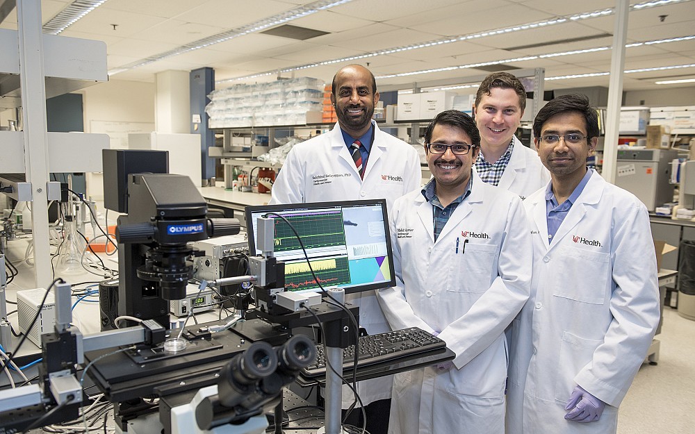 Sakthivel Sadayappan, PhD, (back left) is shown with members of his laboratory Mohit Kumar (front center), Shiv Kumar Viswanathan, PhD, (front right) and James McNamara, PhD, (rear right). 