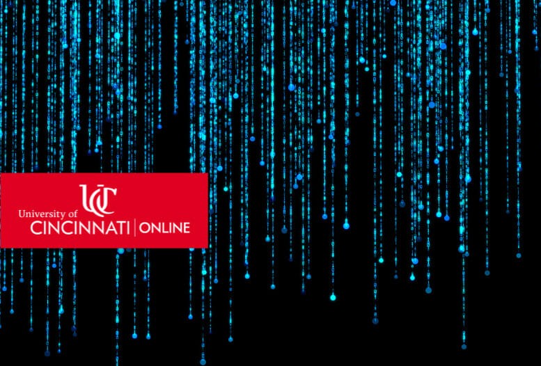 Why Information Technology Offers Great Entry-Level Jobs for Grads With Associate Degrees