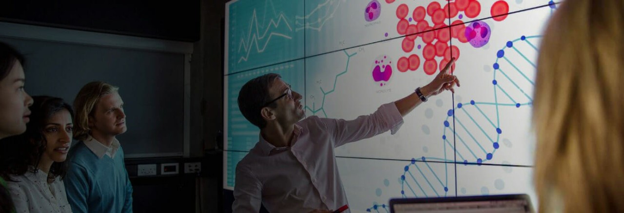 Meet Regan Johnson- Program Director of Bachelor of Public Health