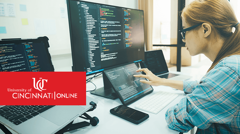 12 Focus Areas in Online MS IT Program