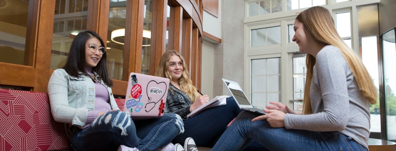 Students study together in a lounge