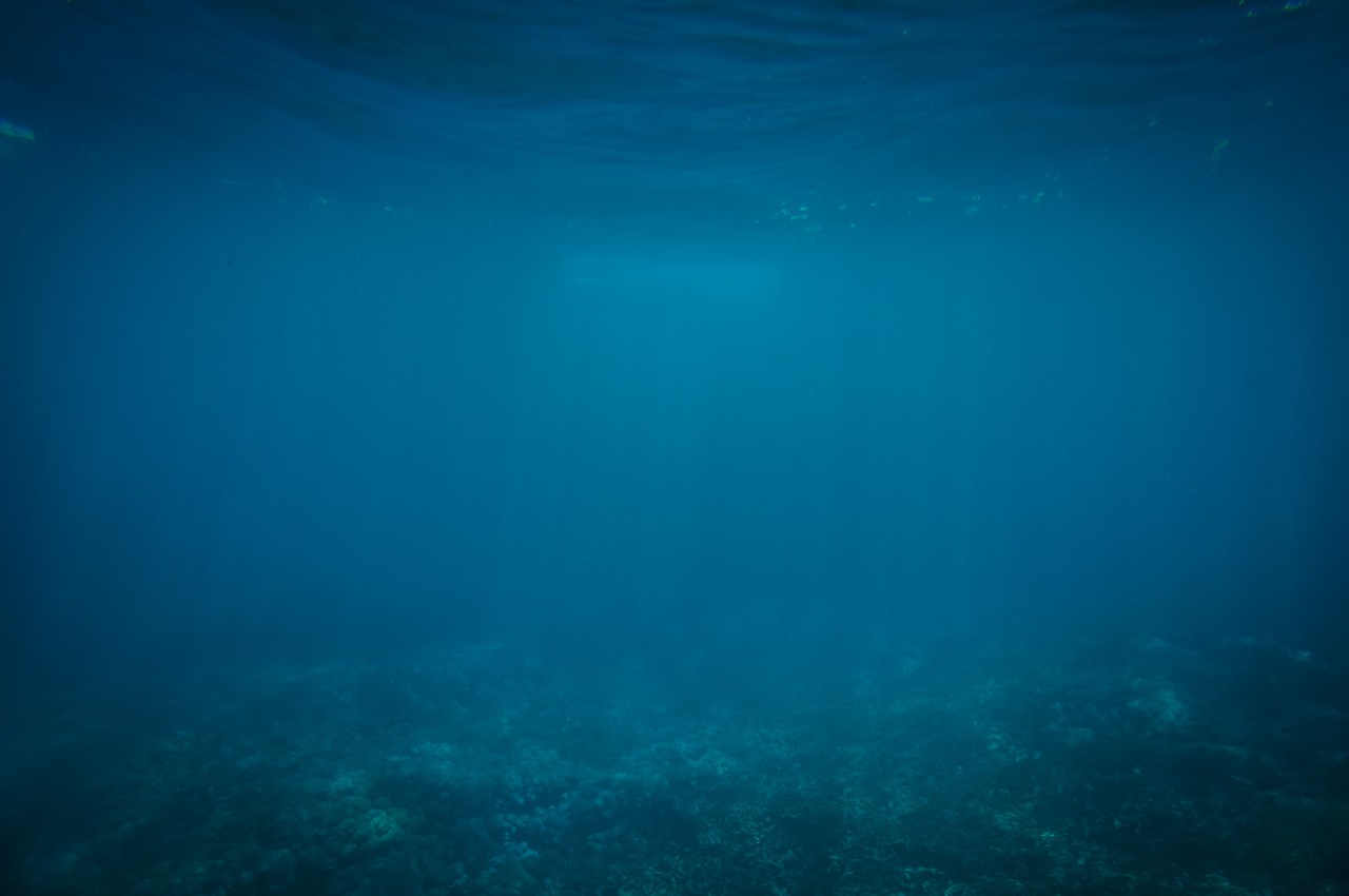 underwater image of bottom of ocean 