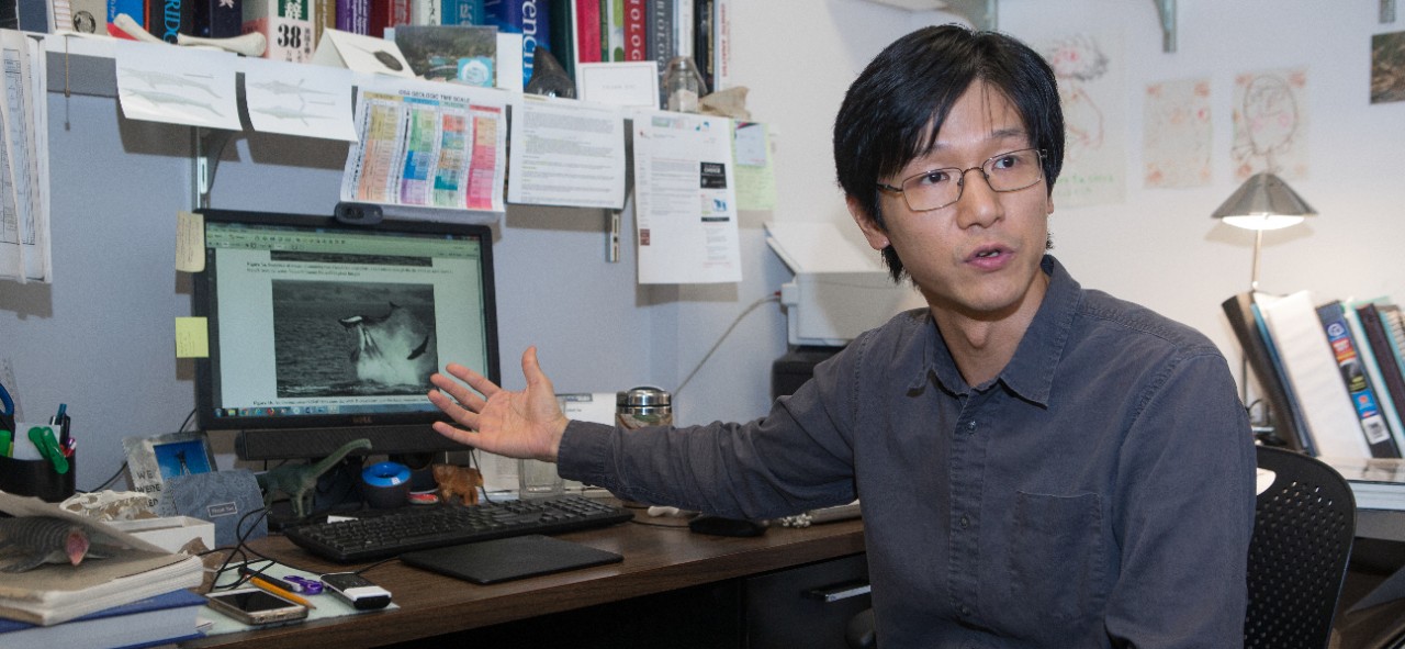 UC biology professor Takuya Konishi sits at his desk gesturing to his computer screen showing an image of an orca ramming a false killer whale.