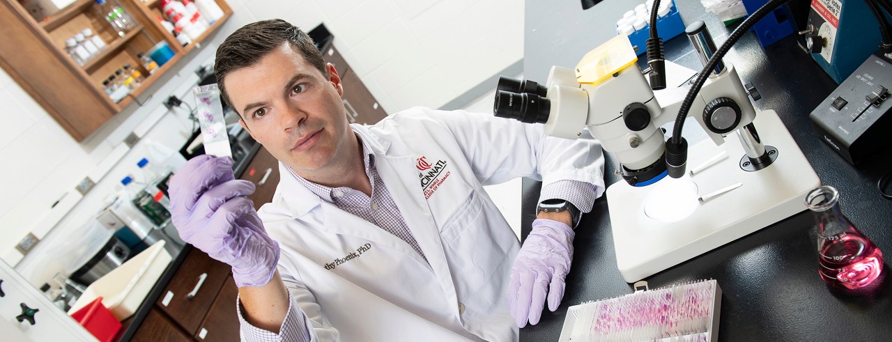 Researcher Timothy Phoenix, PhD, in lab holding tube with tissue samples
