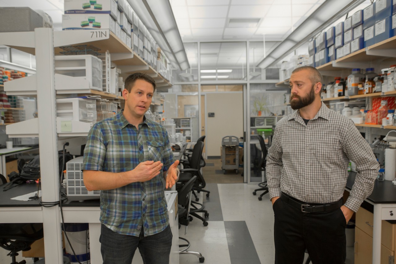 UC professors Andrew Rosendale and Joshua Benoit stand talking in their lab surrounded by lab benches and equipment.