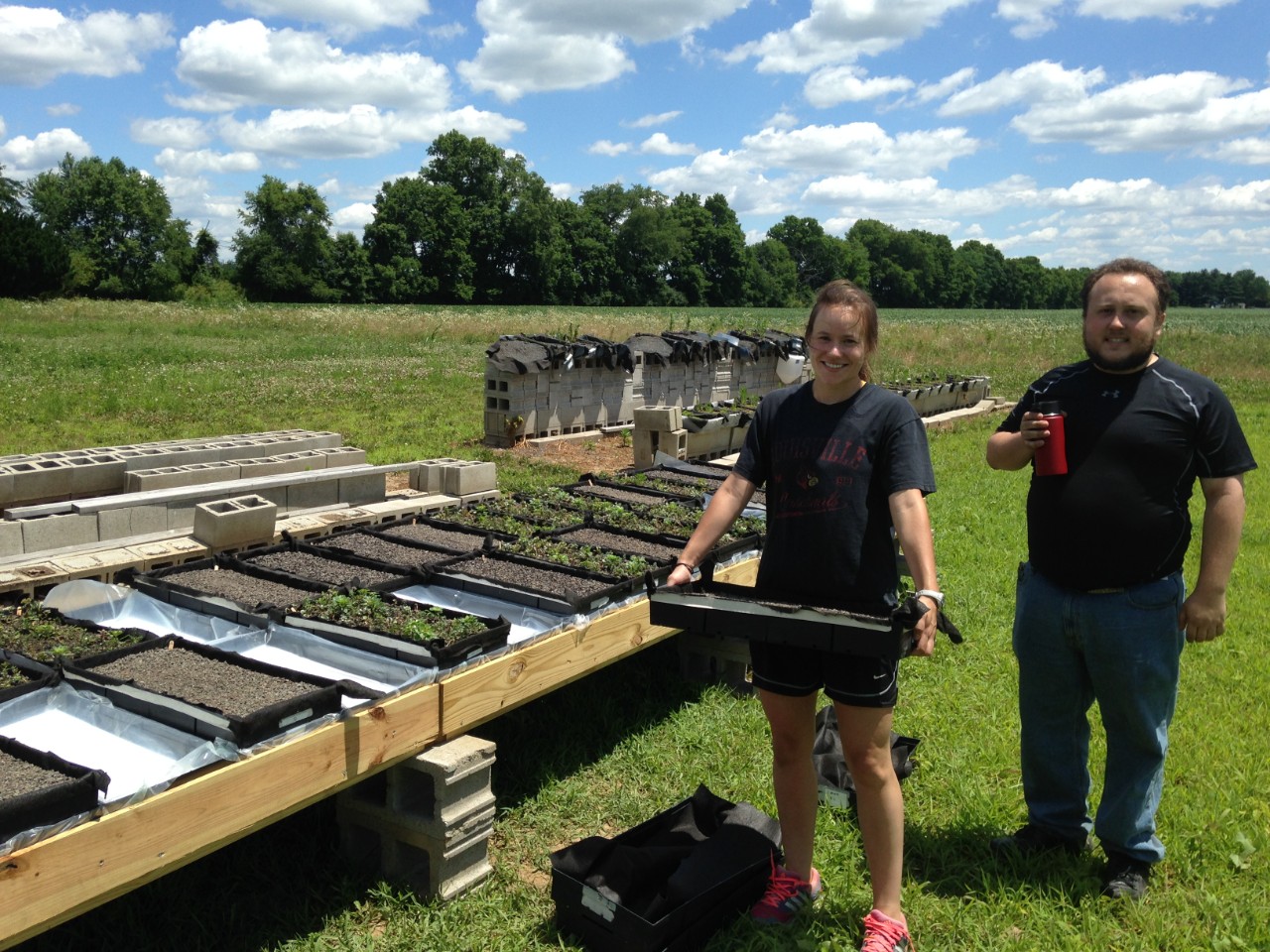 UC students working on green roof research plots at the UC Center for Field Studies