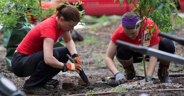 UC staff and faculty help to weed a garden during UC Serves. 