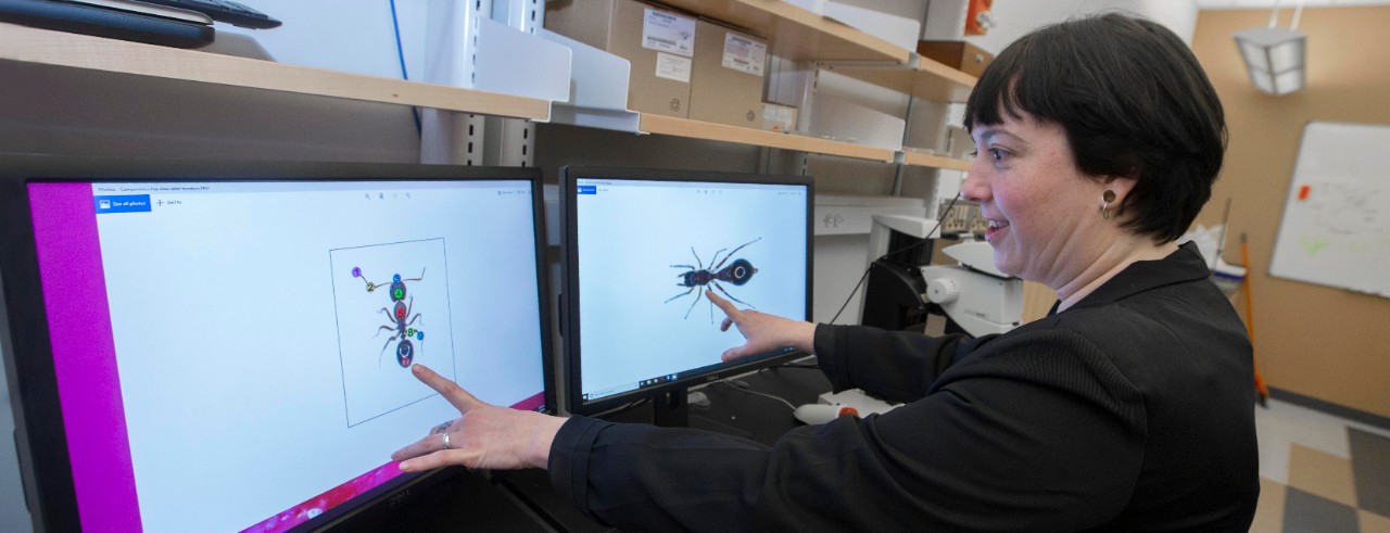 UC student Alexis Dodson gestures to an image of an ant on her computer screen in a biology lab full of equipment on shelves.
